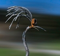 Allgäu 09 - 2014 - 20140915_0234 als Smartobjekt-1 Kopie